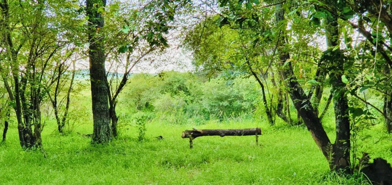 Hotel Lorian safari camp limited Narok Esterno foto